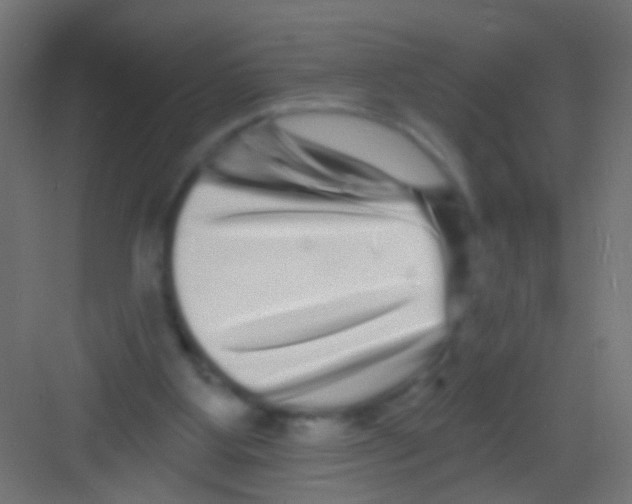 X0000081340107200702082239