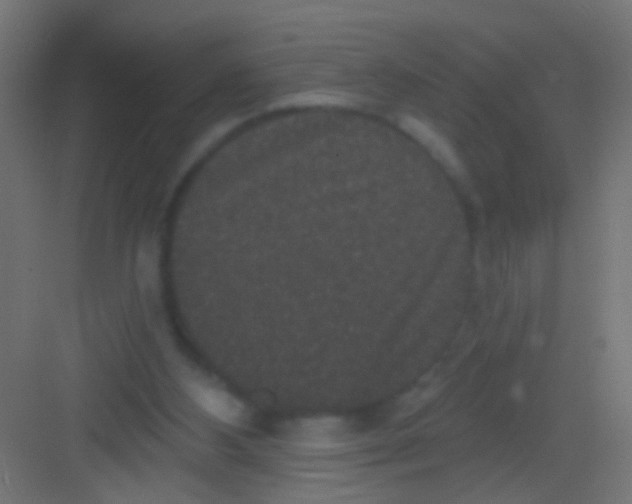 X0000081340108200702082239