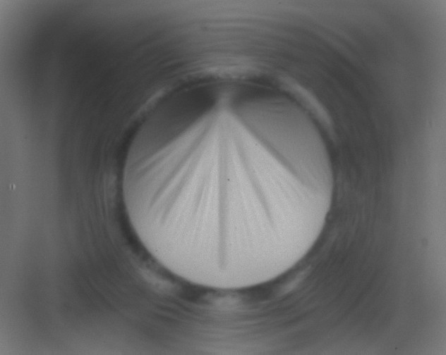 X0000081340113200702082239