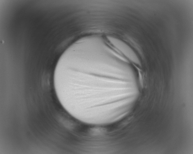X0000081340115200702082239
