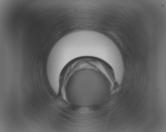 X0000081340123200702082239