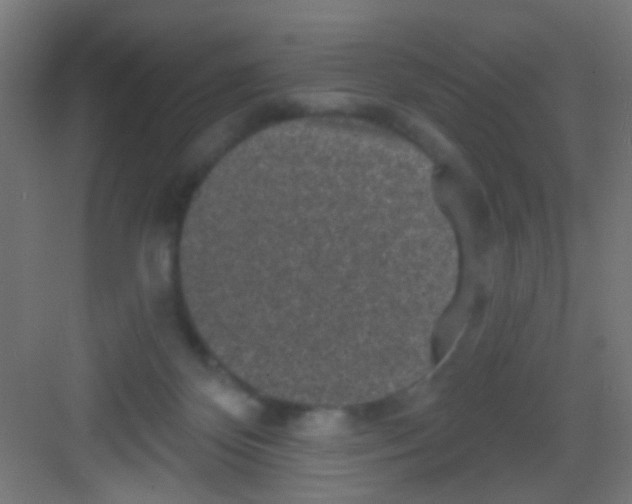 X0000081340124200702082238