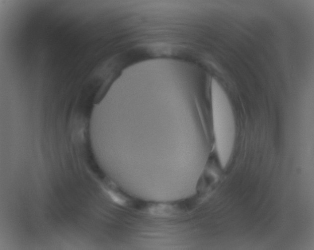 X0000081340125200702082238