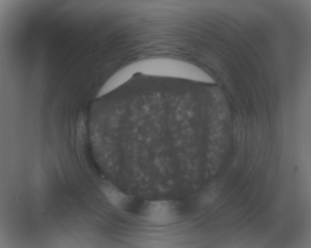 X0000081340127200702082238