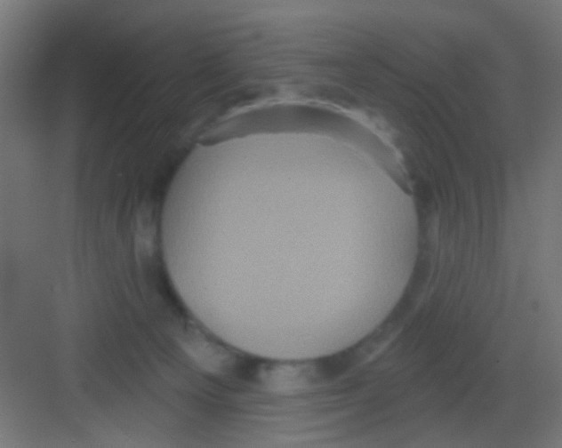 X0000081340129200702082238