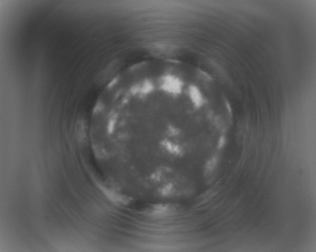 X0000081340130200702082238