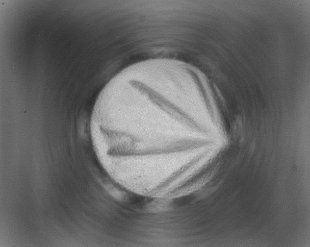 X0000081340138200702082238