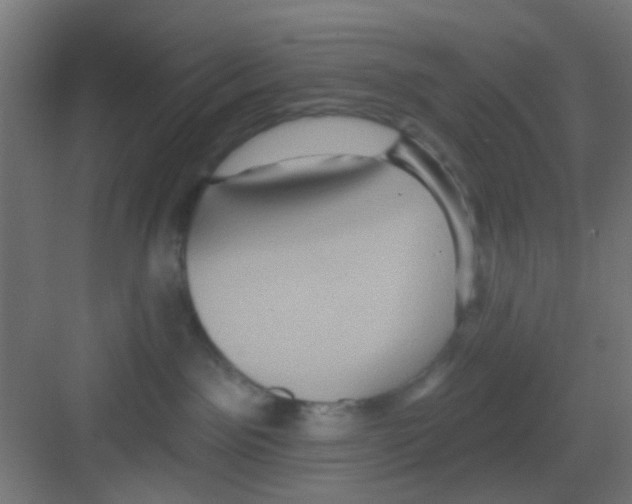 X0000081340141200702082238