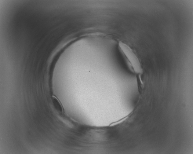 X0000081340150200702082237