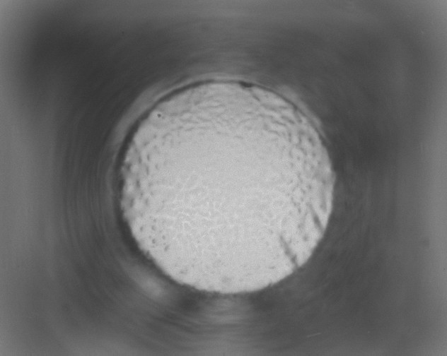 X0000081340151200702082237
