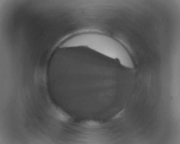 X0000081340156200702082238