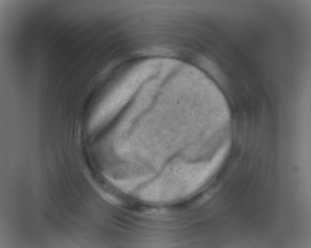 X0000081340157200702082238