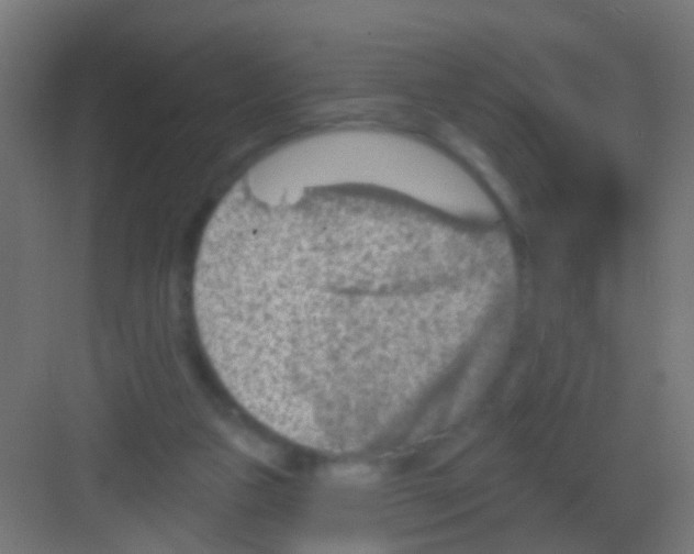 X0000081340161200702082238