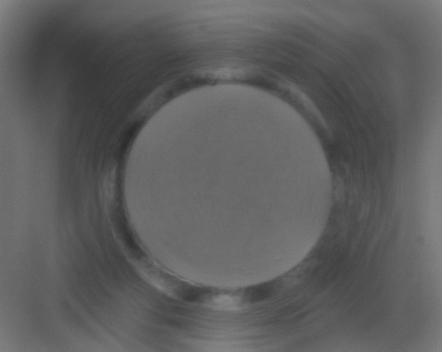 X0000081340163200702082238