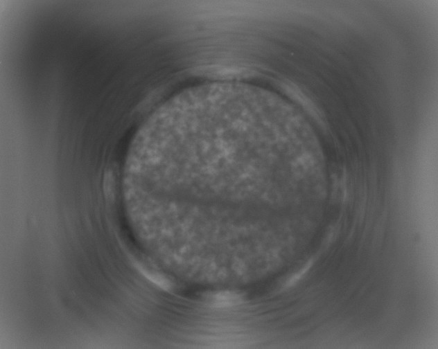 X0000081340165200702082238