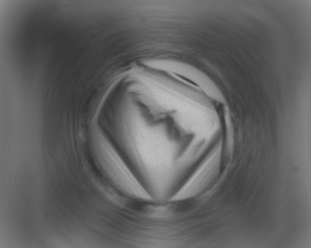 X0000081340170200702082238