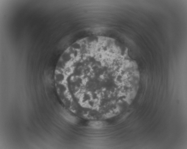 X0000081340181200702082238