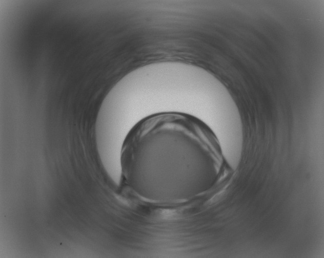 X0000081340184200702082238