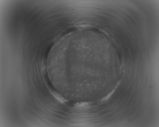 X0000081340186200702082238