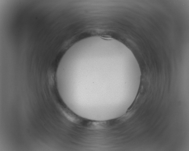 X0000081340188200702082238