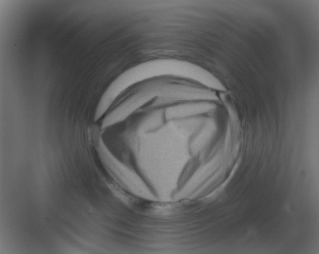 X0000081340190200702082238