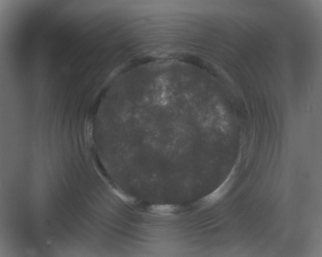 X0000081340192200702082238