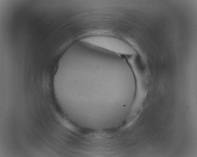 X0000081340201200702082237
