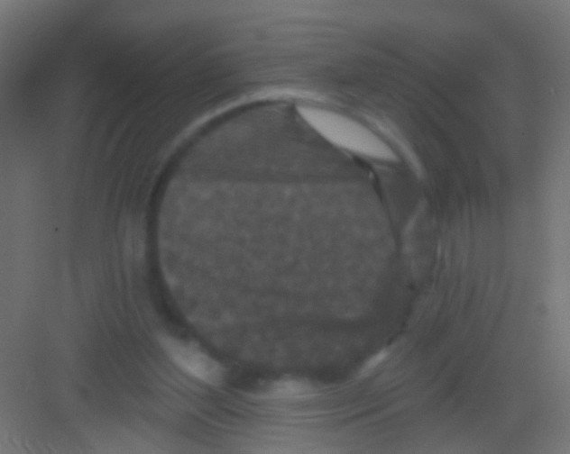 X0000081340204200702082237