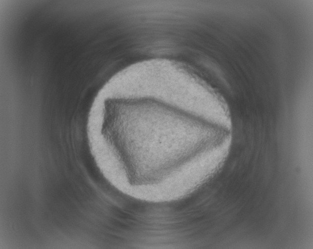 X0000081340210200702082237