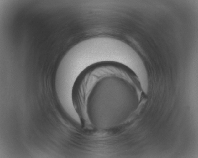 X0000081340213200702082237