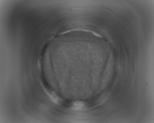 X0000081340214200702082237