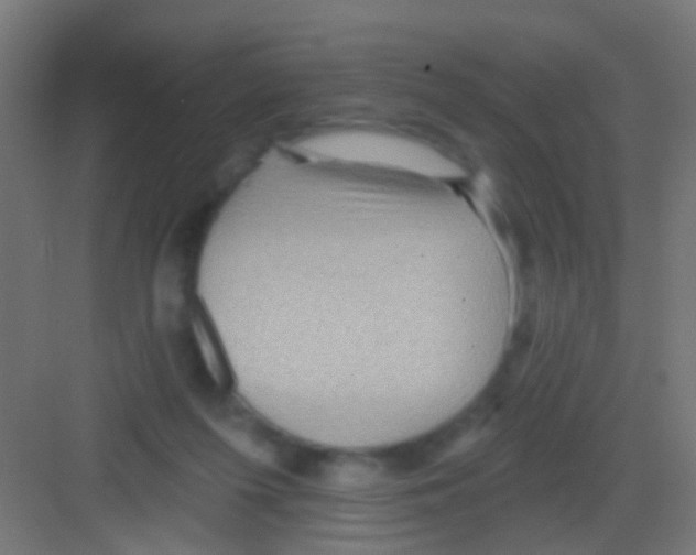 X0000081340215200702082237