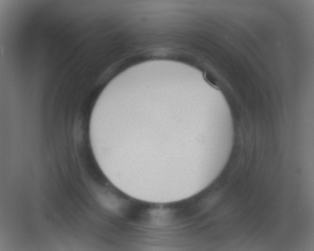 X0000081340216200702082237