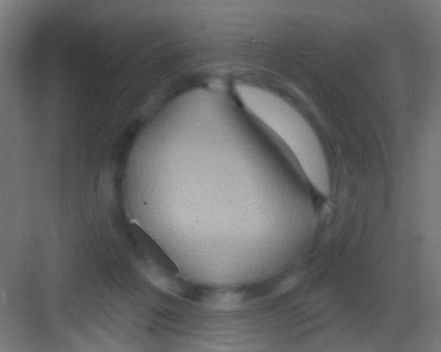 X0000081340217200702082237