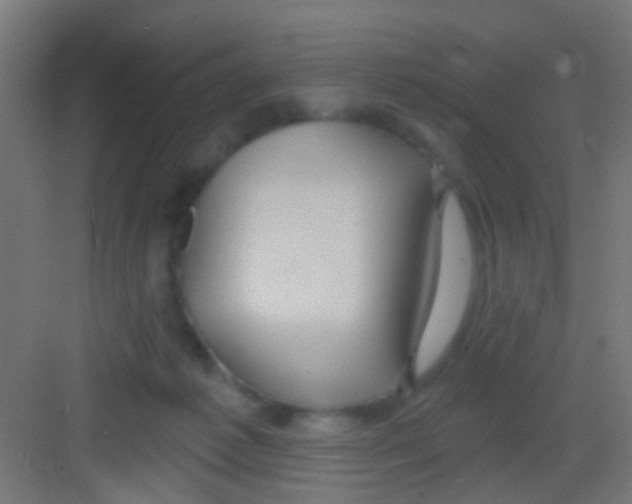 X0000081340221200702082237