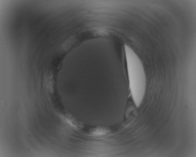 X0000081340223200702082237