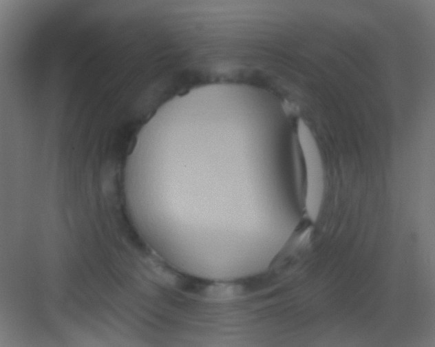 X0000081340225200702082237