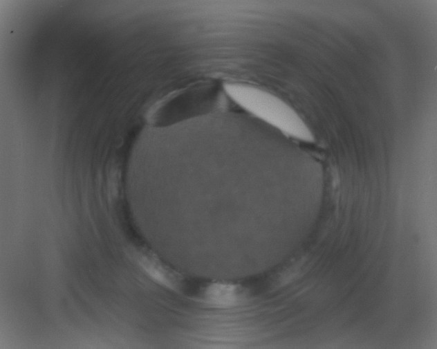 X0000081340227200702082237