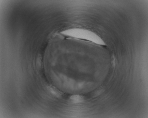 X0000081340231200702082237