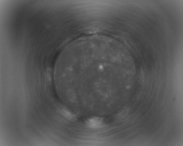 X0000081340232200702082237