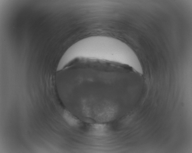 X0000081340233200702082237
