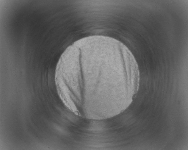 X0000081340234200702082237