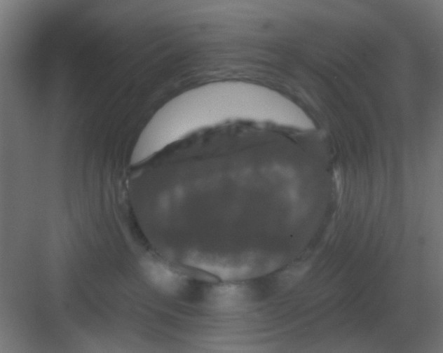 X0000081340237200702082237