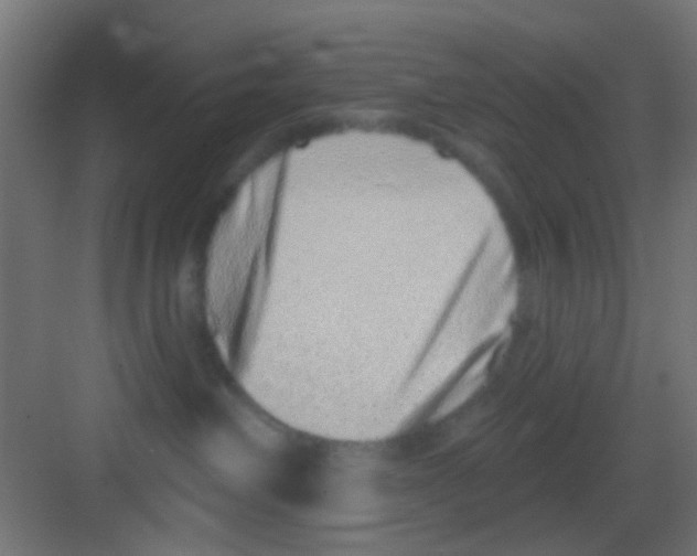X0000081340238200702082237