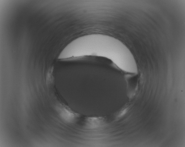 X0000081340239200702082237