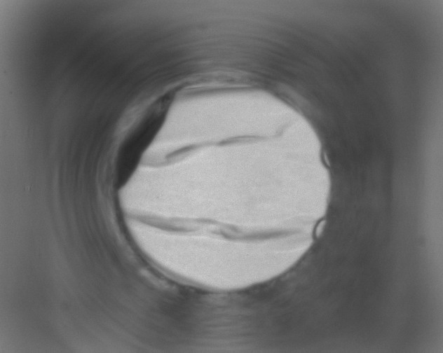 X0000081340241200702082236
