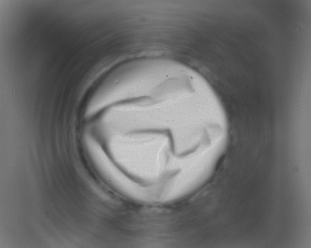 X0000081340242200702082236