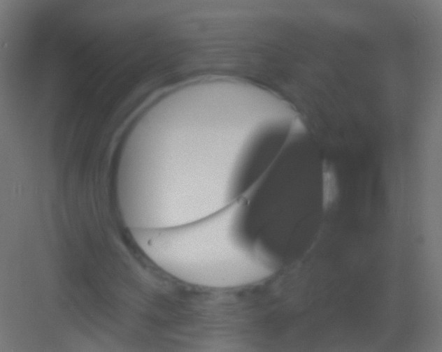X0000081340243200702082236