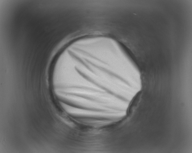 X0000081340246200702082236