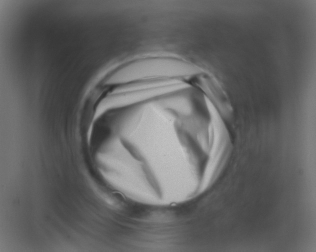 X0000081340248200702082236